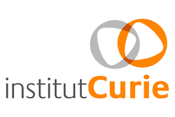 Institut Curie