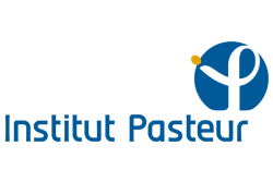 Institut Pasteur